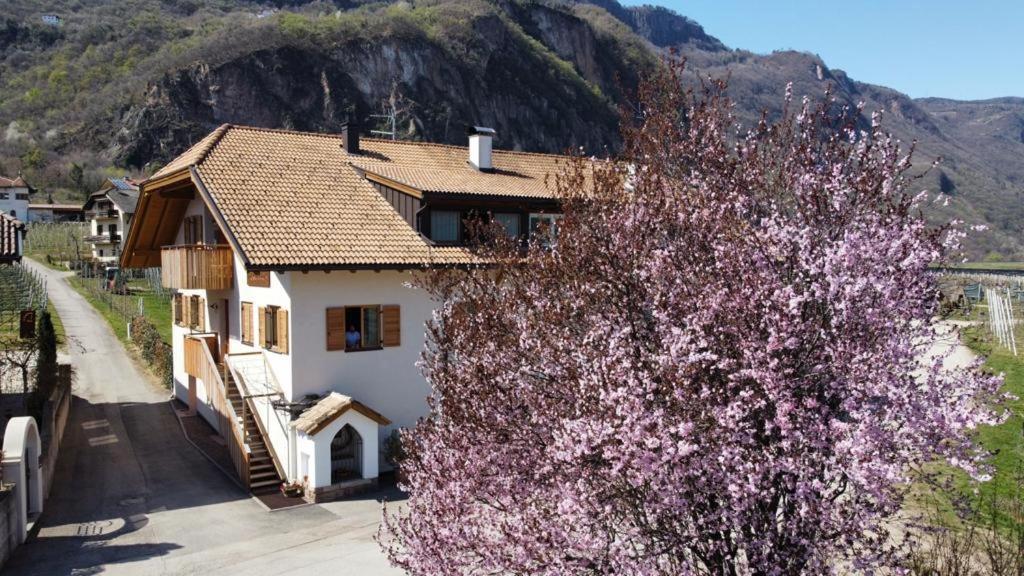 Versigglhof Appiano Sulla Strada Del Vino Kültér fotó