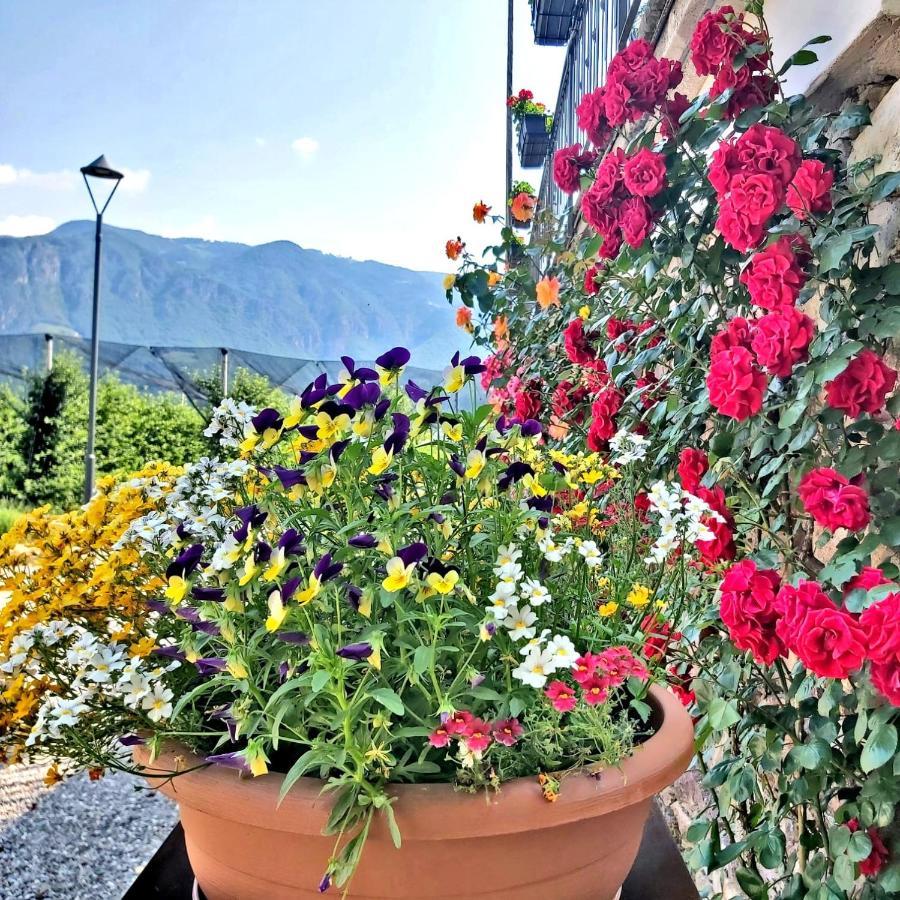 Versigglhof Appiano Sulla Strada Del Vino Kültér fotó