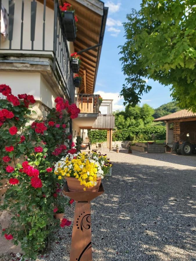 Versigglhof Appiano Sulla Strada Del Vino Kültér fotó