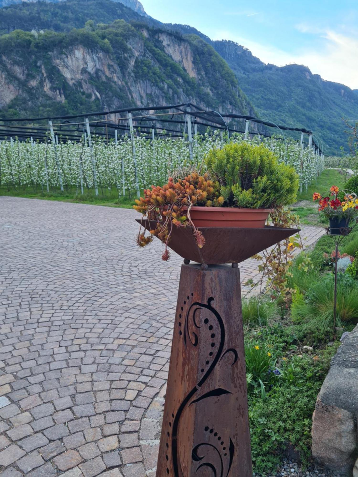 Versigglhof Appiano Sulla Strada Del Vino Kültér fotó
