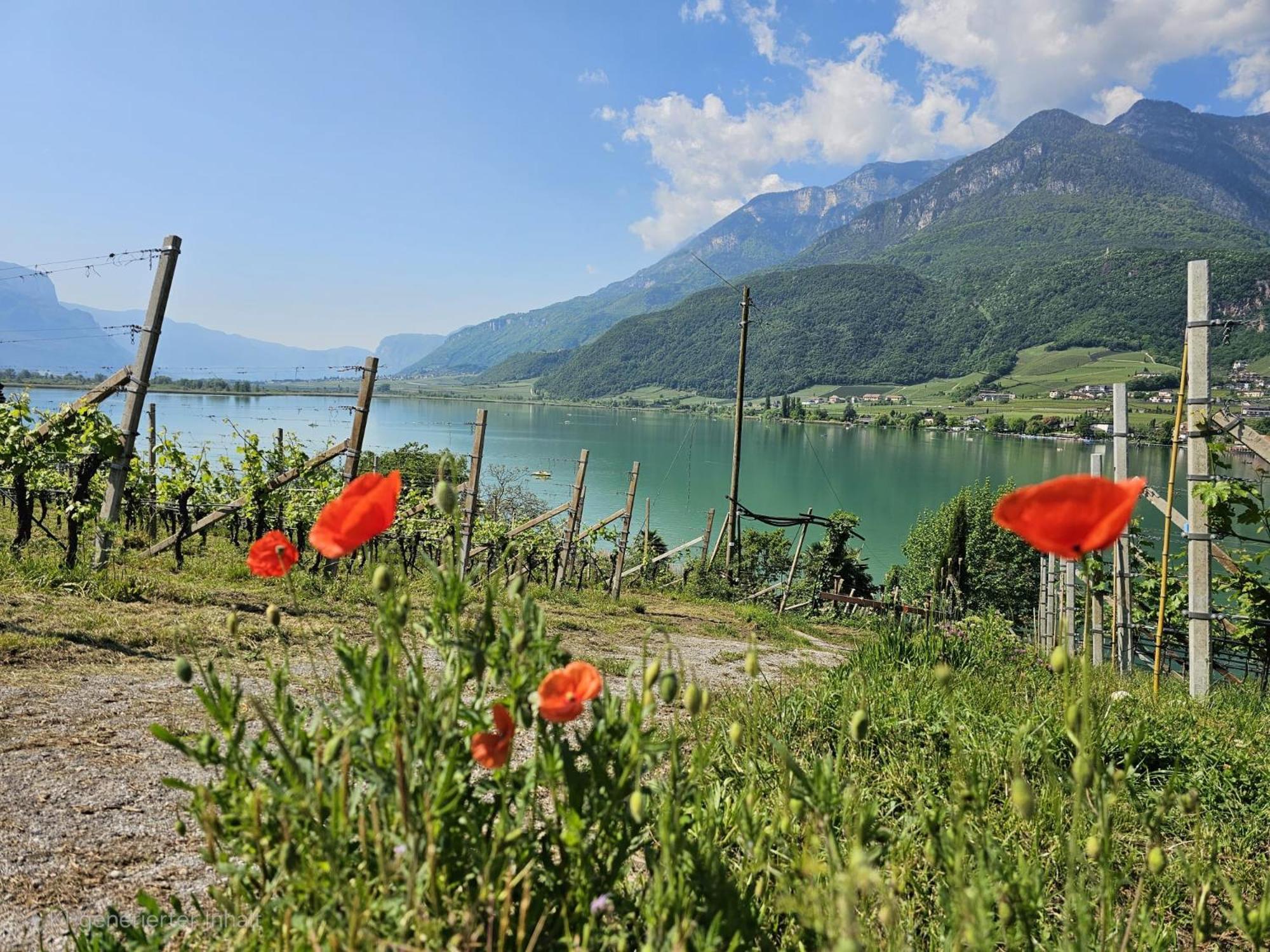 Versigglhof Appiano Sulla Strada Del Vino Kültér fotó