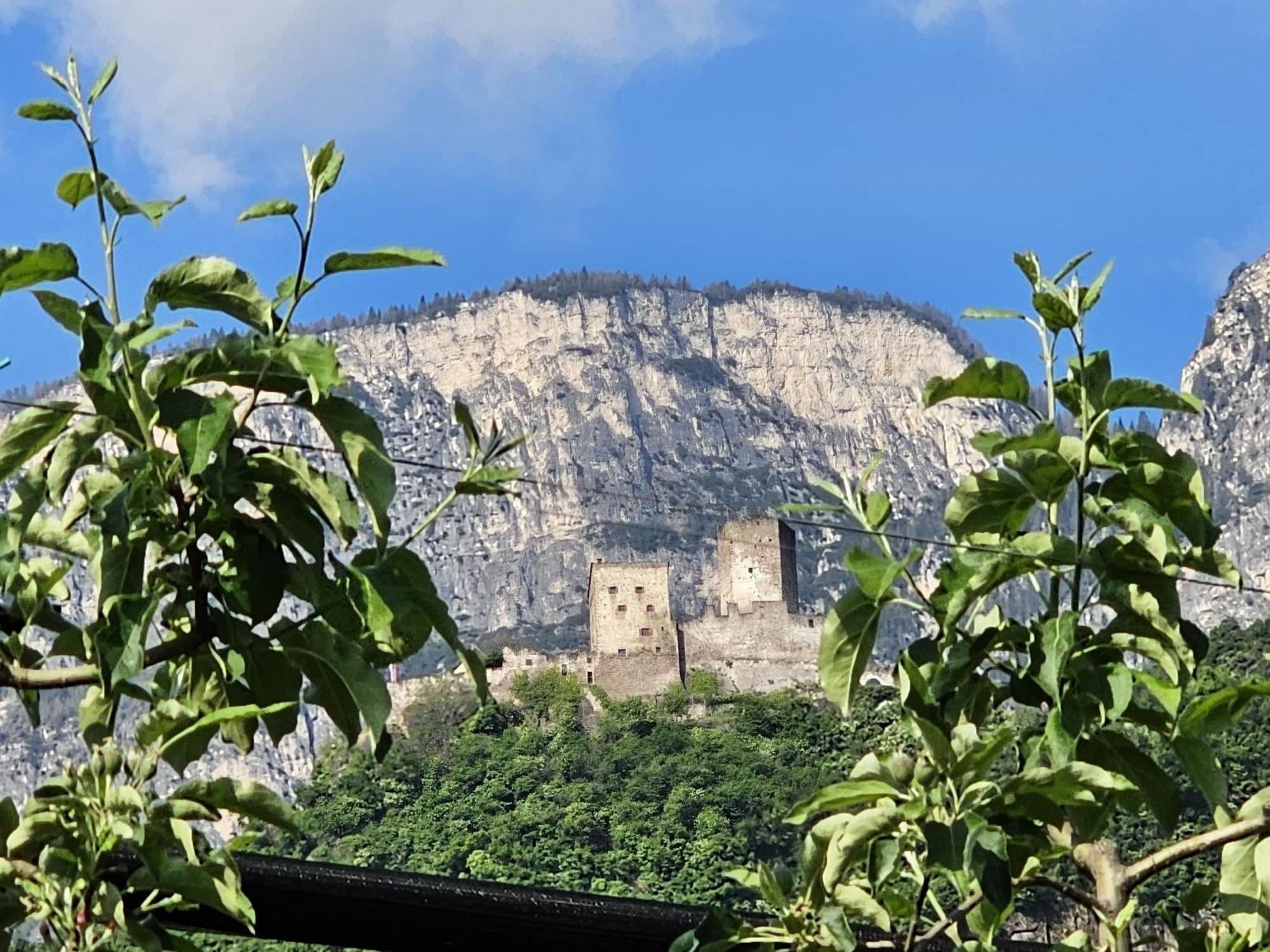 Versigglhof Appiano Sulla Strada Del Vino Kültér fotó