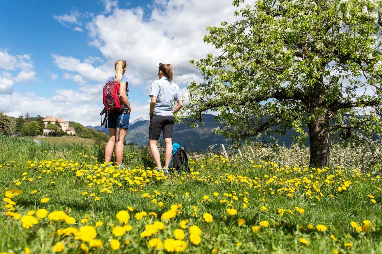 Versigglhof Appiano Sulla Strada Del Vino Kültér fotó